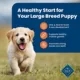 Product Blue Buffalo® Life Protection Formula™ Large Breed Puppy Dry Dog Food - Chicken & Brown Rice
