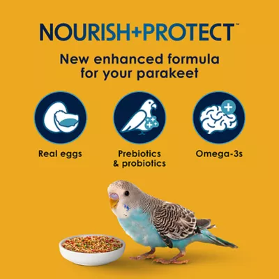 Product KAYTEE® Forti-Diet Egg-Cite Parakeet Food