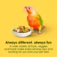 Product KAYTEE® Fiesta Conure Food