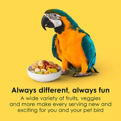 Product KAYTEE® Fiesta Macaw Food
