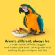 Product KAYTEE® Fiesta Macaw Food