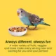 Product KAYTEE® Fiesta Max Parakeet Food