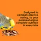Product KAYTEE® Fiesta Max Parakeet Food