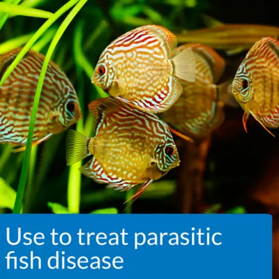 Product API® Guide Fish Problem Solving General Cure