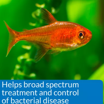 Product API® E.M. Erythromycin Fish Bacterial Infection Treatment