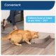 Product PetSafe® 5 Meal Pet Food Dispenser - Dry or Semi-Moist Pet Food