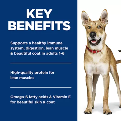 Product Hill's® Science Diet® Adult Wet Dog Food - Chicken & Barley, 13 oz
