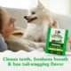 Product Greenies™ Adult Teenie Dog Dental Treats - Natural, Oral Health, Original