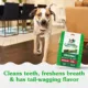 Product Greenies™ Adult Regular Dog Dental Treats - Natural, Oral Health, Original