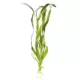 Product Top Fin® Plant Bulbs