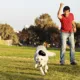 Product KONG® Extreme Dog Toy -Treat Dispensing