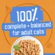 Product Friskies® All Life Stages Cat Wet Food - 5.5 Oz