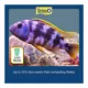 Product Tetra® TetraCichlid Cichlid Crisps Fish Food