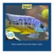 Product Tetra® TetraCichlid Cichlid Crisps Fish Food