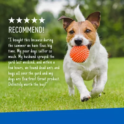 Product Adams™ Plus Flea & Tick Yard Spray