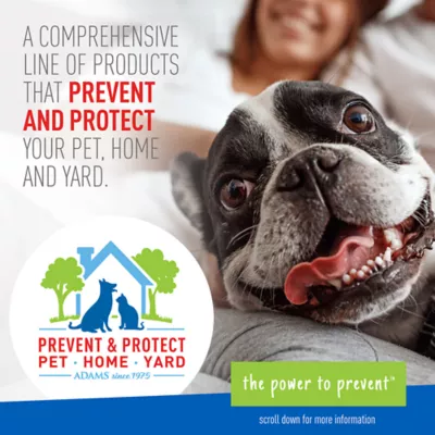 Product Adams™ Plus Flea & Tick Shampoo