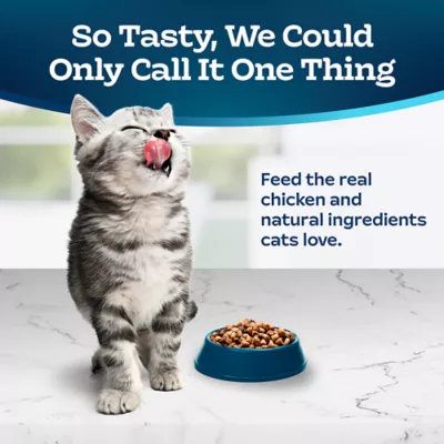Product Blue Buffalo Tastefuls Kitten Dry Food - Natural, Chicken & Brown Rice