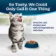 Product Blue Buffalo Tastefuls Kitten Dry Food - Natural, Chicken & Brown Rice