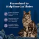 Product Blue Buffalo Wilderness  Adult Dry Cat Food - Grain Free, Chicken