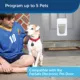 Product PetSafe® Electronic Pet Door Key - Dog and Cat Keys - Add More Pets - Fits Collar ID Tags
