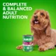 Product IAMS™ Proactive Health Adult Wet Dog Food - Chunks in Gravy, 13 OZ