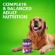 Product IAMS™ Proactive Health Senior Wet Dog Food - Pate, 13 OZ