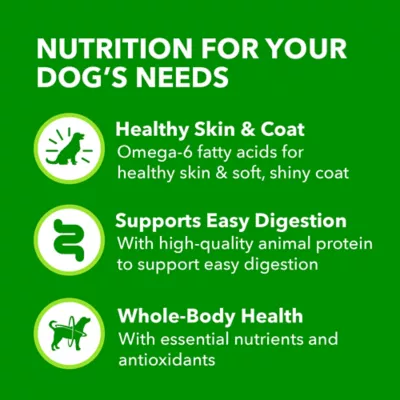 Product IAMS™ Proactive Health Senior Wet Dog Food - Pate, 13 OZ