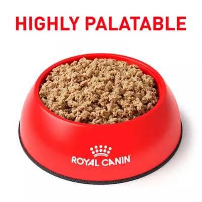 Product Royal Canin® Veterinary Diet Canine Gastrointestinal Adult Dog Loaf in Sauce Wet Food  13.5 oz can