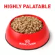 Product Royal Canin® Veterinary Diet Canine Gastrointestinal Adult Dog Loaf in Sauce Wet Food  13.5 oz can