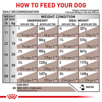 Product Royal Canin® Veterinary Diet Canine Gastrointestinal Adult Dog Loaf in Sauce Wet Food  13.5 oz can