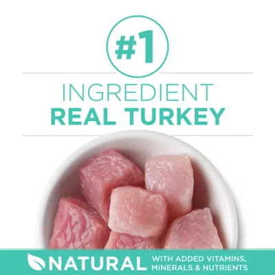 Product Purina® ONE® +Plus Sensitive Skin & Sensitive Stomach Adult Cat Dry Food - Turkey