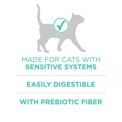 Product Purina® ONE® +Plus Sensitive Skin & Sensitive Stomach Adult Cat Dry Food - Turkey