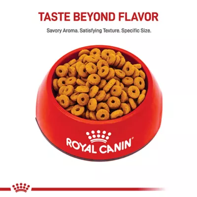 Product Royal Canin Feline Adult Dry Cat Food Care Nutrition, Digestive Care