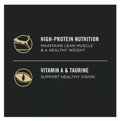 Product Purina Pro Plan Focus Indoor Adult Dry Cat Food - With Vitamins, High Fiber, Turkey & Rice