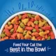 Product Friskies® Seafood Sensations Adult Cat Dry Food - Seafood