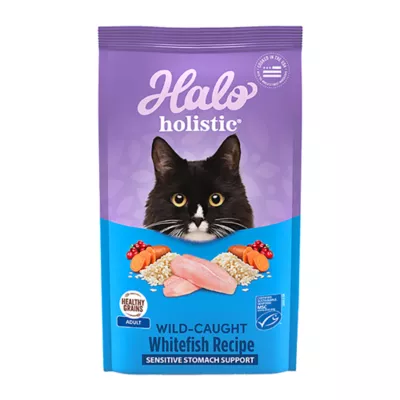 Product Halo Holistic Healthy Grains, Adult Dry Cat Food, Sensitive Stomach Support - Whitefish Recipe