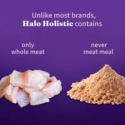 Product Halo Holistic Healthy Grains, Adult Dry Cat Food, Sensitive Stomach Support - Whitefish Recipe