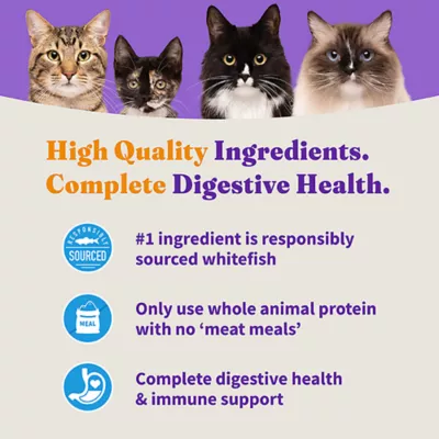 Product Halo Holistic Healthy Grains, Adult Dry Cat Food, Sensitive Stomach Support - Whitefish Recipe