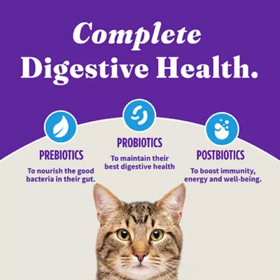 Product Halo Holistic Healthy Grains, Adult Dry Cat Food, Sensitive Stomach Support - Whitefish Recipe