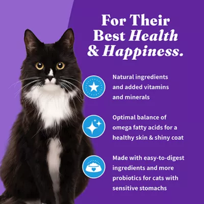 Product Halo Holistic Healthy Grains, Adult Dry Cat Food, Sensitive Stomach Support - Whitefish Recipe