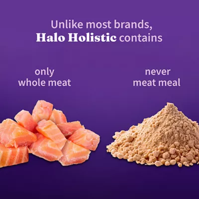 Product Halo Holistic Healthy Grains, Adult Dry Cat Food - Salmon & Whitefish Recipe, 6 lb