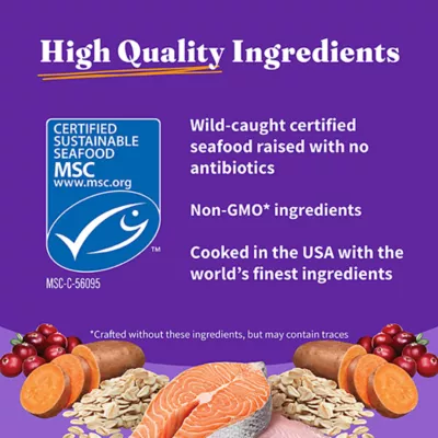 Product Halo Holistic Healthy Grains, Adult Dry Cat Food - Salmon & Whitefish Recipe, 6 lb