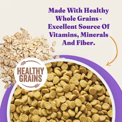 Product Halo Holistic Healthy Grains, Adult Dry Cat Food - Salmon & Whitefish Recipe, 6 lb