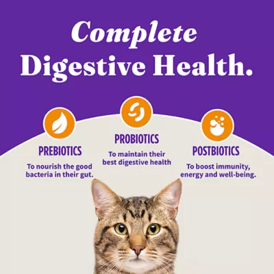 Product Halo Holistic Healthy Grains, Adult Dry Cat Food - Chicken Recipe, 6 lb