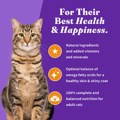 Product Halo Holistic Healthy Grains, Adult Dry Cat Food - Chicken Recipe, 6 lb