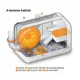 Product Fancy Bear Hamster