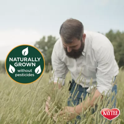 Product KAYTEE® All Natural Timothy Hay Plus Carrot