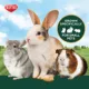Product KAYTEE® All Natural Timothy Hay Plus Carrot