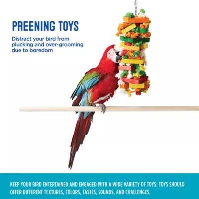 Product All Living Things® Knots & Blocks Bird Toy