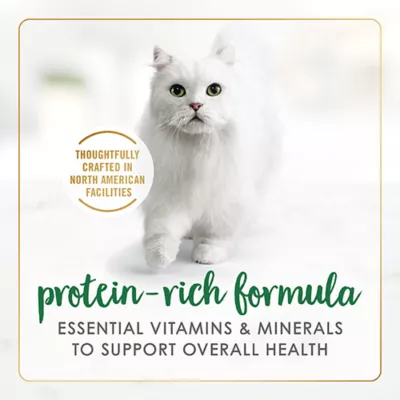 Product Fancy Feast Chunks Wet Cat Food